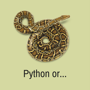 Արժե՞ սովորել Python